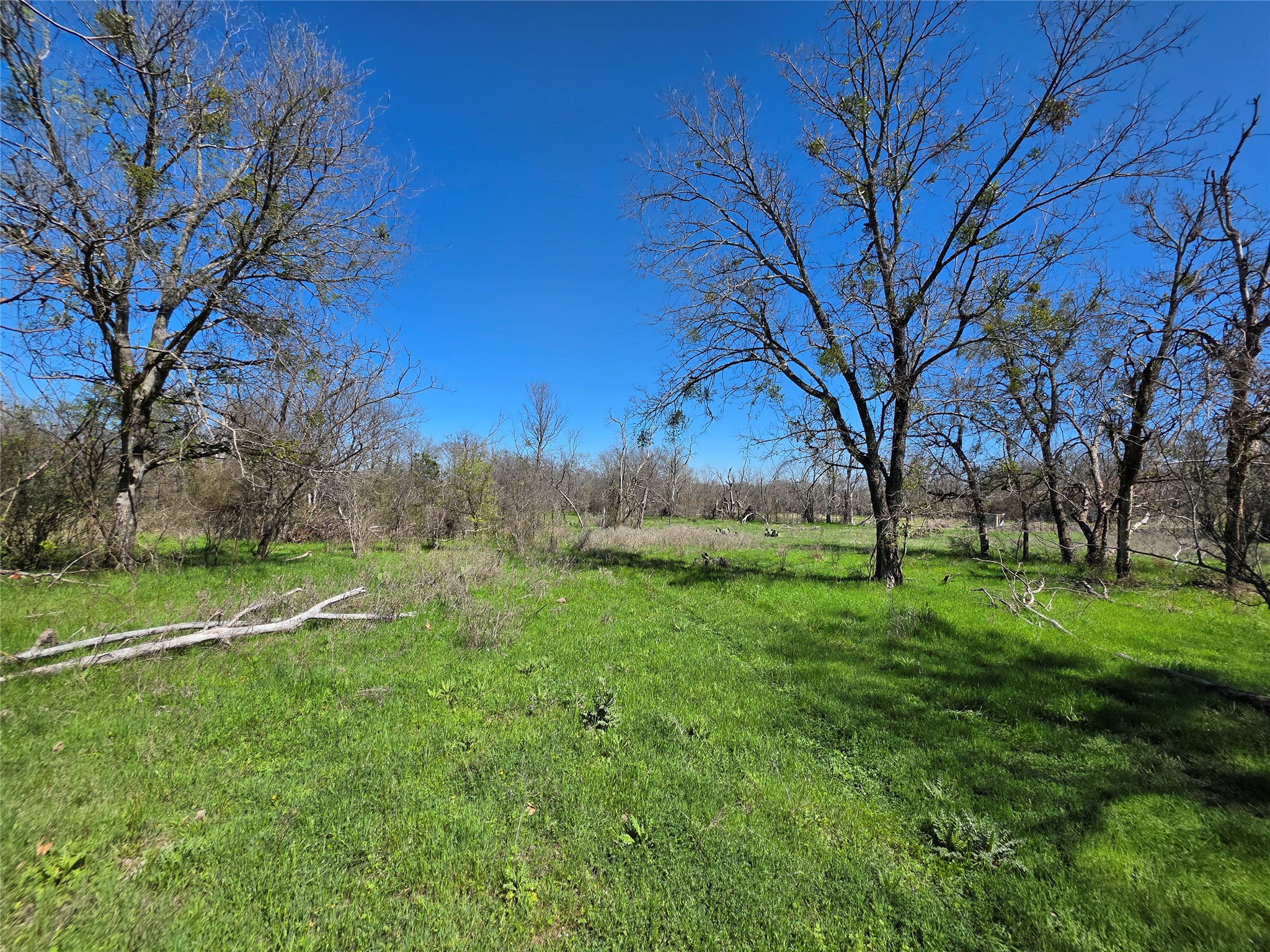 309 Highway 36 Gustine TX 76455