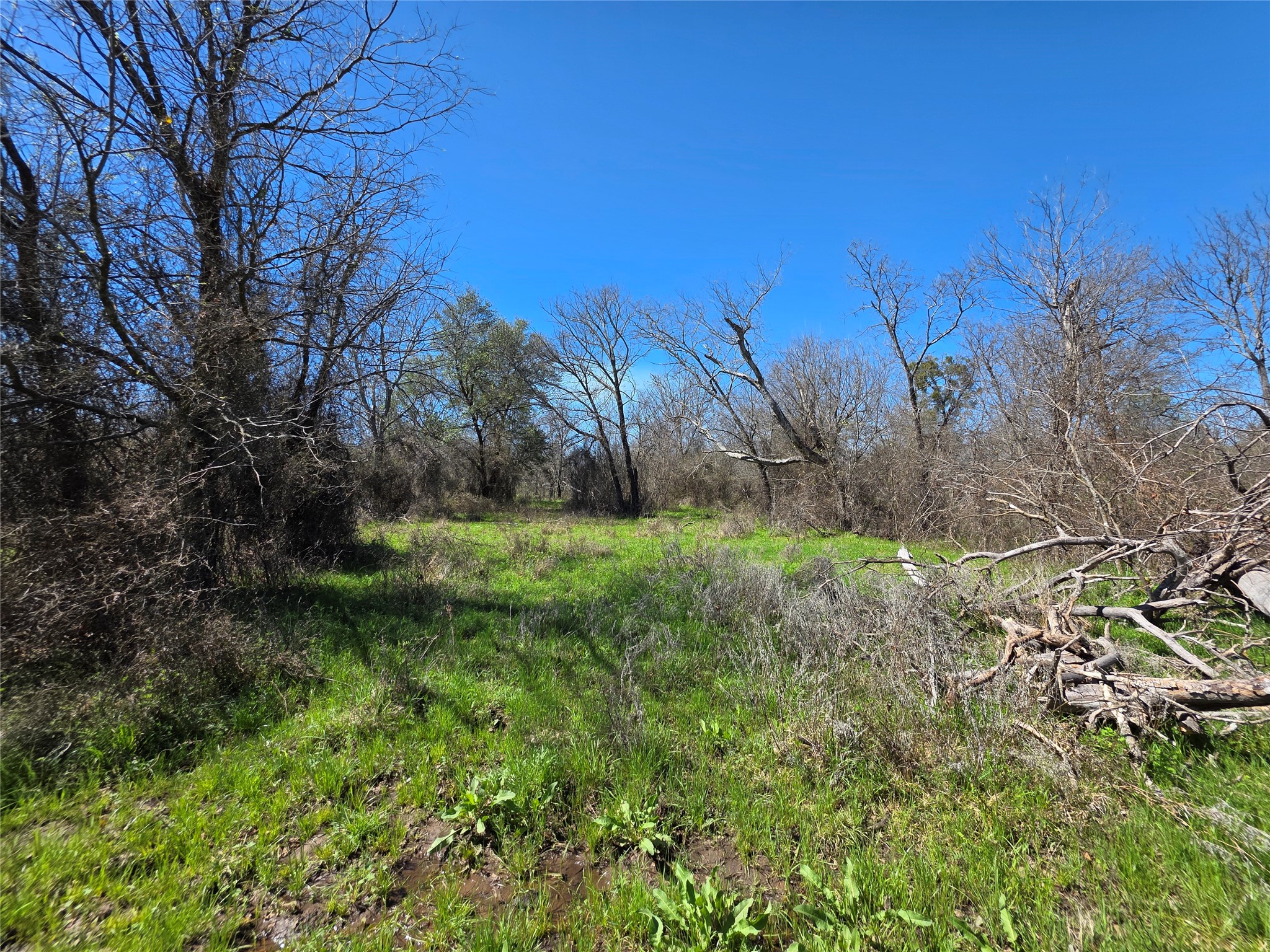 309 Highway 36 Gustine TX 76455