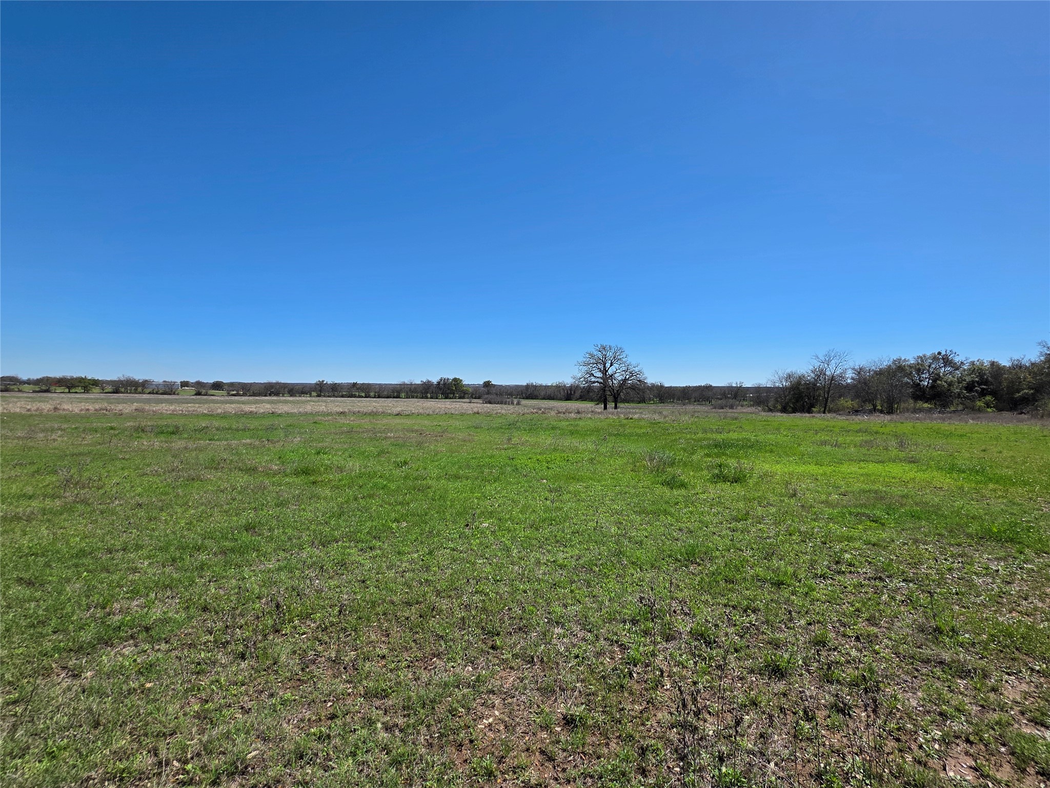 309 Highway 36 Gustine TX 76455