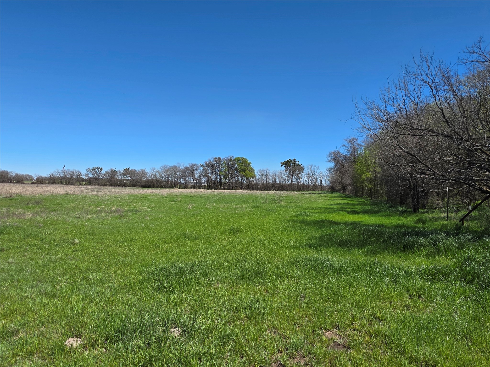 309 Highway 36 Gustine TX 76455
