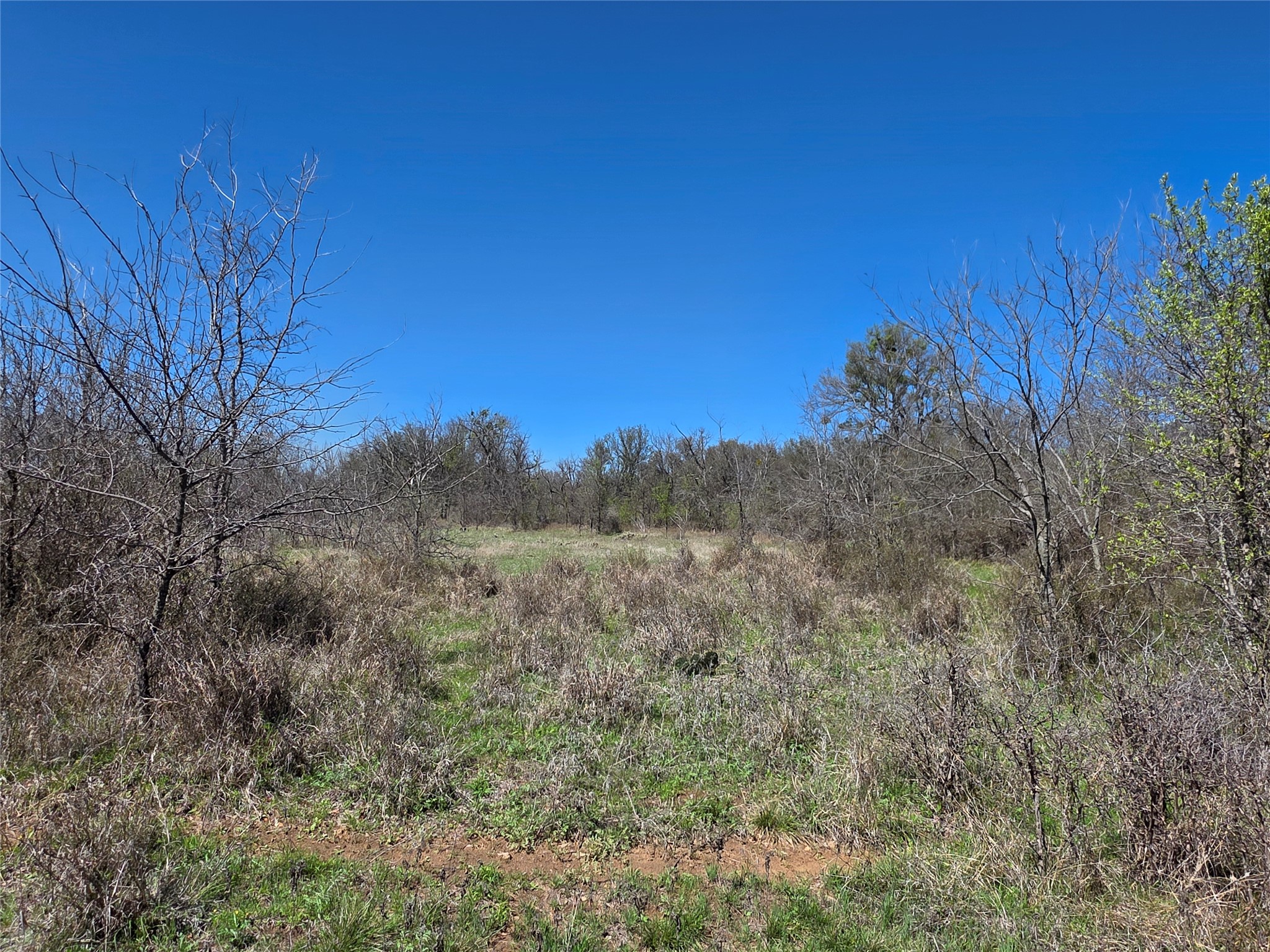309 Highway 36 Gustine TX 76455