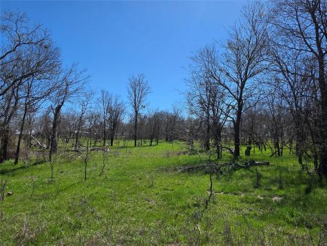 309 Highway 36 Gustine TX 76455