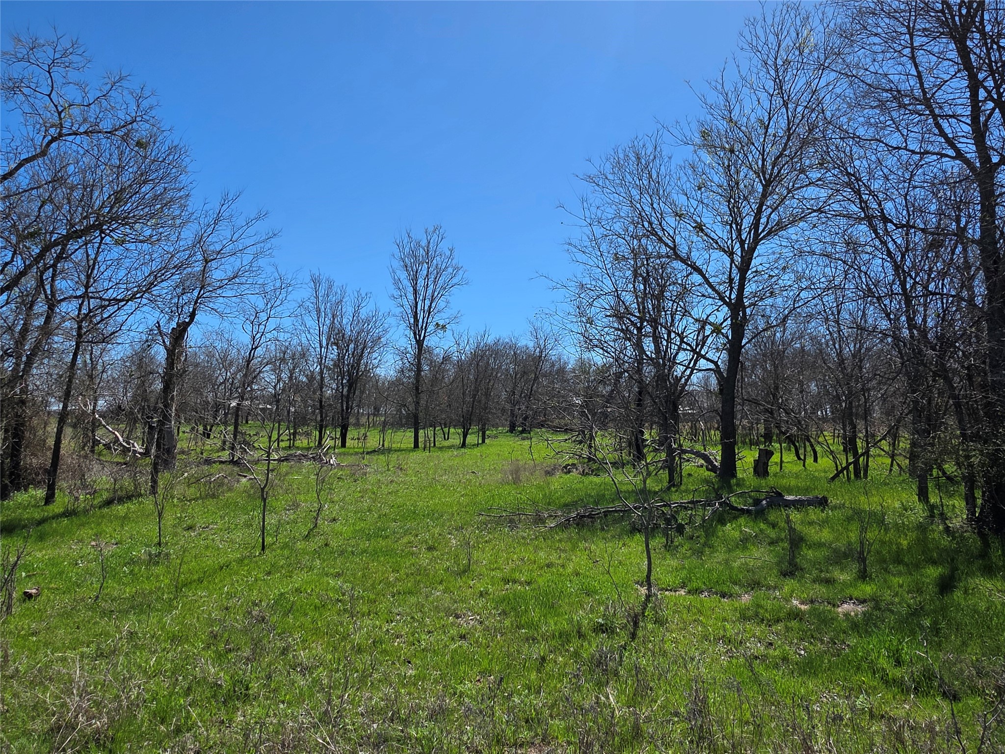 309 Highway 36 Gustine TX 76455