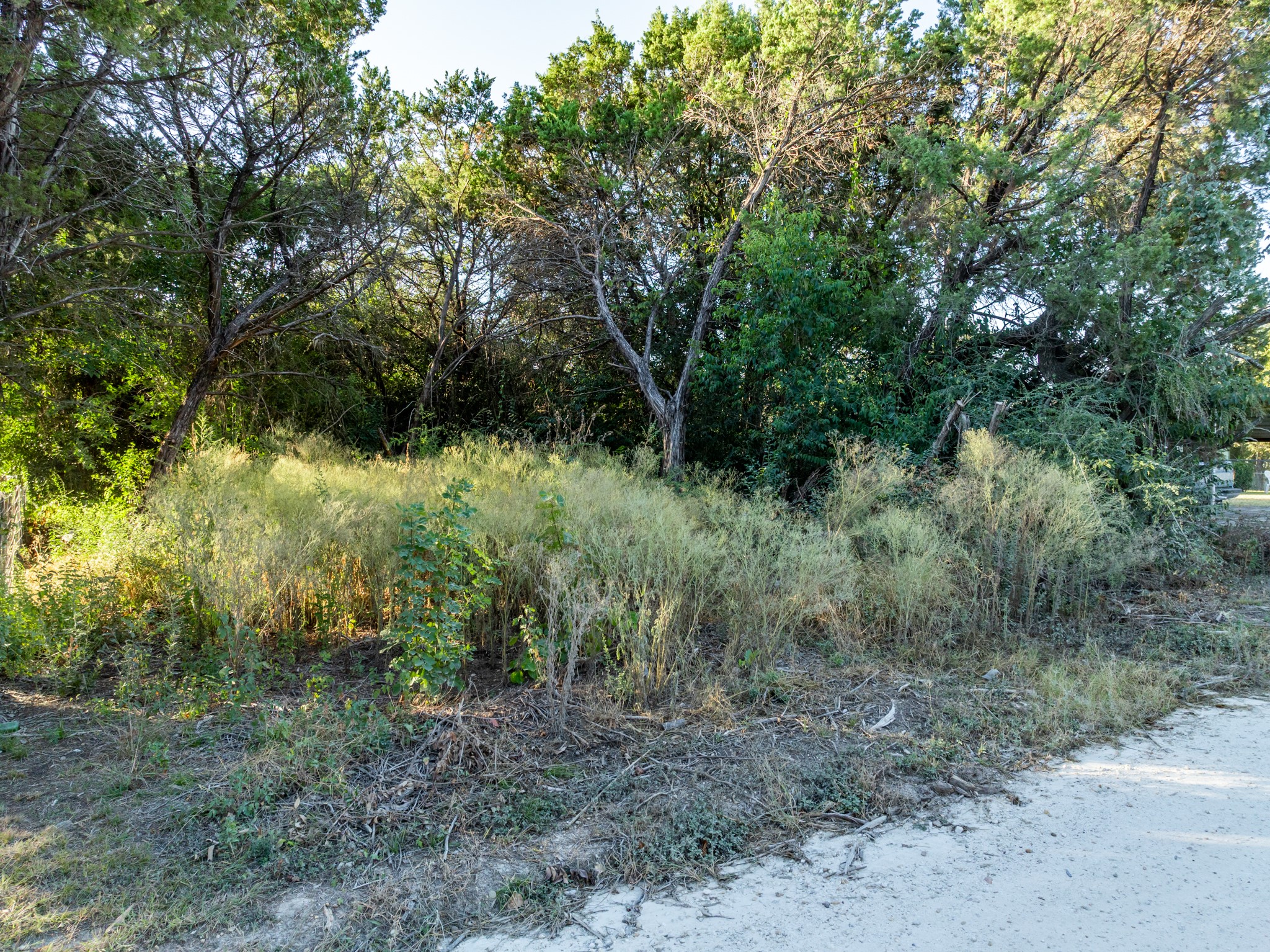 Tbd Cedar Drive Whitney TX 76692