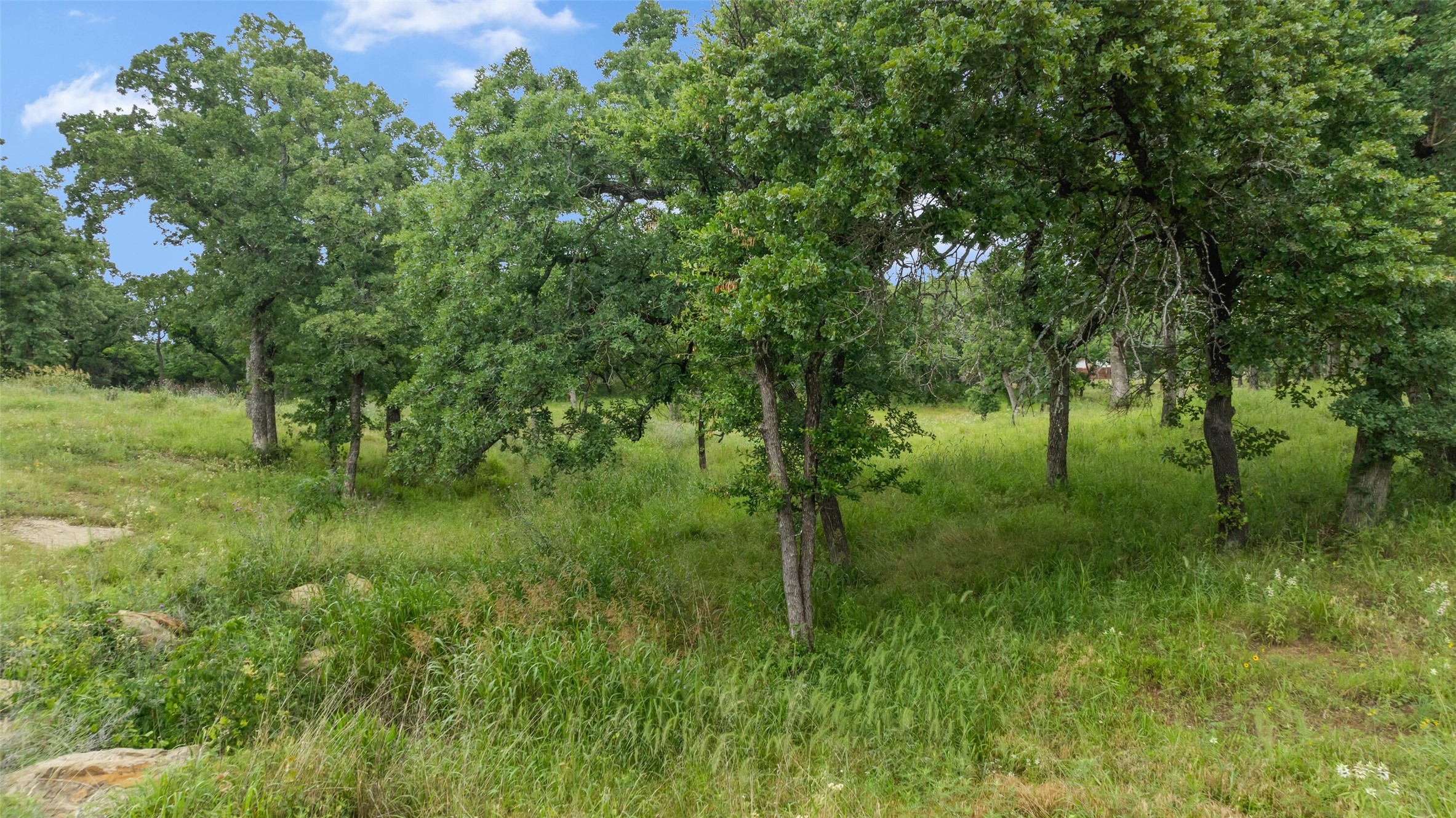 10 South Court Nocona TX 76255