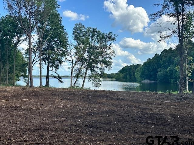 Lot 111 Oak River Frankston TX 75763