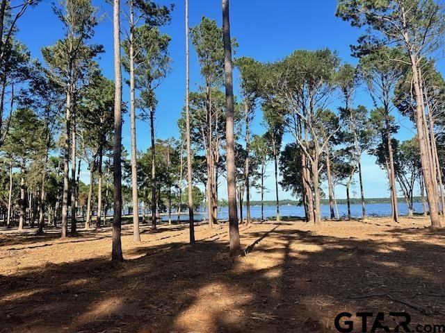 Lot 111 Oak River Frankston TX 75763
