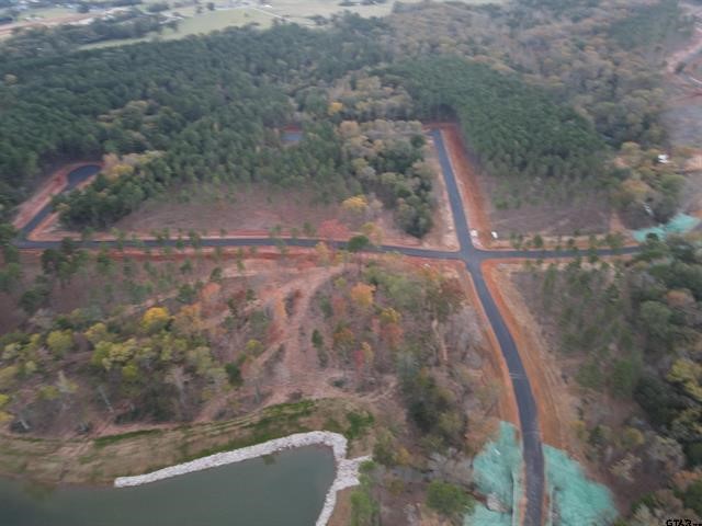 Lot 111 Oak River Frankston TX 75763