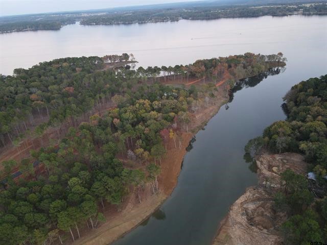 Lot 111 Oak River Frankston TX 75763