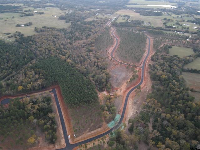 Lot 111 Oak River Frankston TX 75763