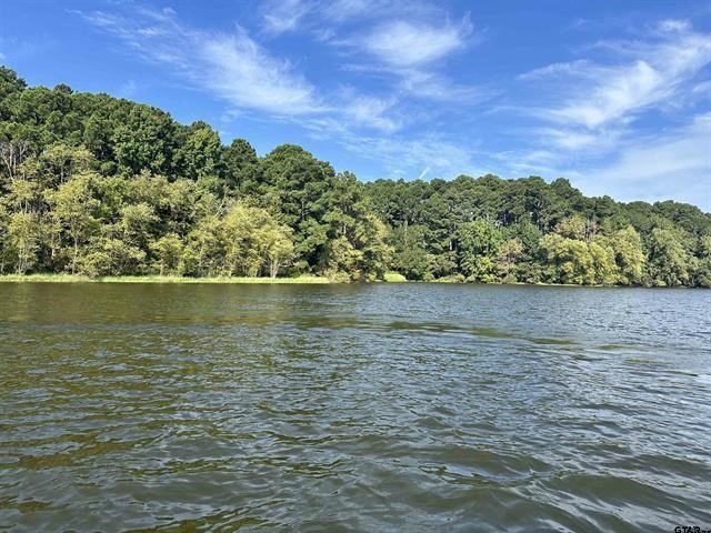 Lot 111 Oak River Frankston TX 75763