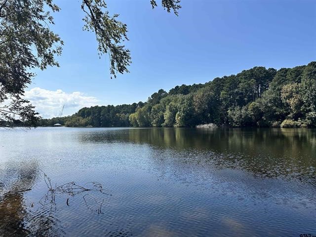 Lot 111 Oak River Frankston TX 75763