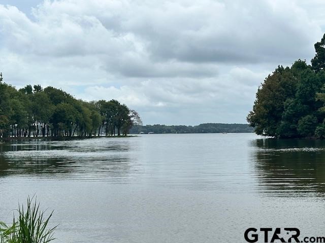 Lot 111 Oak River Frankston TX 75763