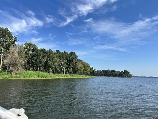 Lot 111 Oak River Frankston TX 75763