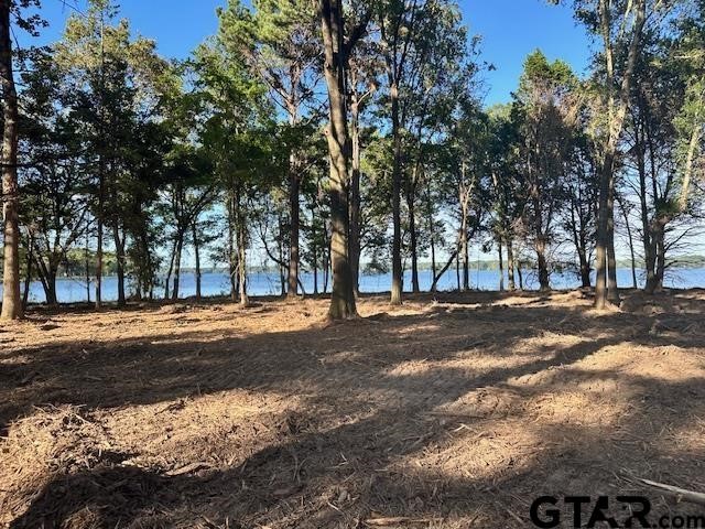 Lot 111 Oak River Frankston TX 75763