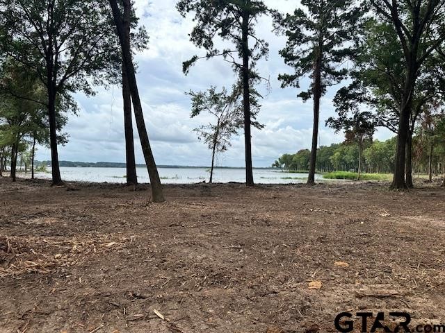 Lot 111 Oak River Frankston TX 75763