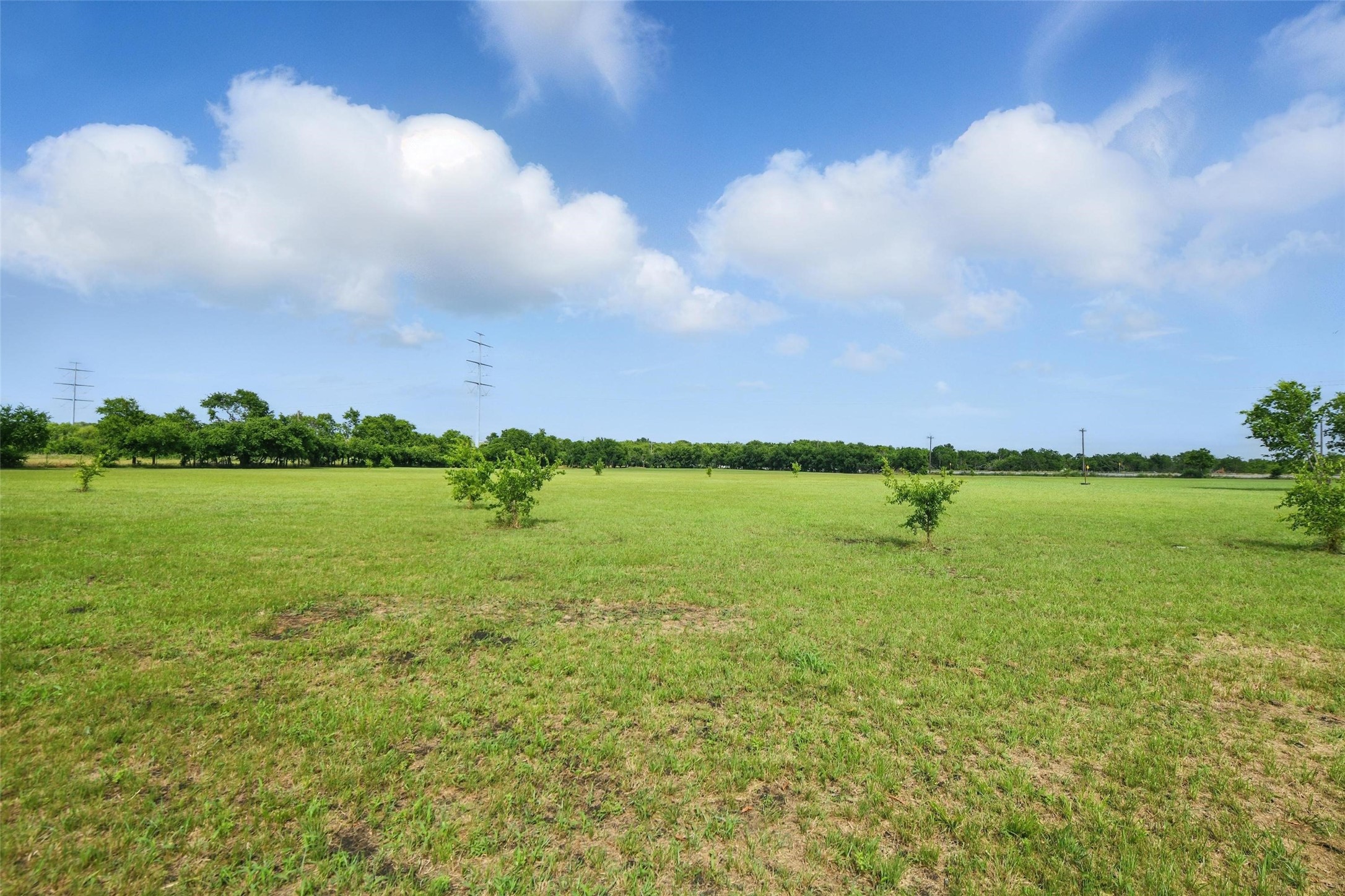 15783 Fm 51 Gainesville TX 76240