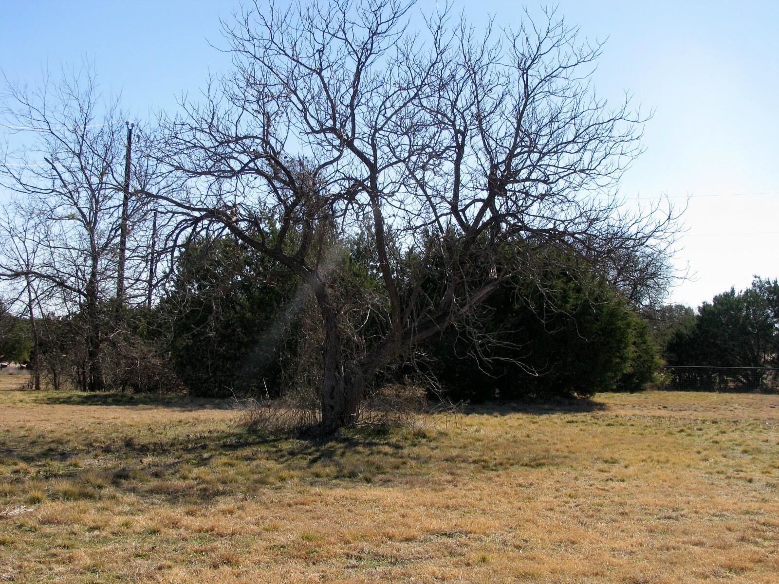 Tbd Lot 4 Old Pidcoke Road Gatesville TX 76528