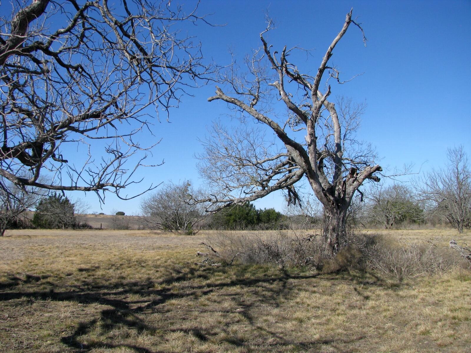 Tbd Lot 4 Old Pidcoke Road Gatesville TX 76528