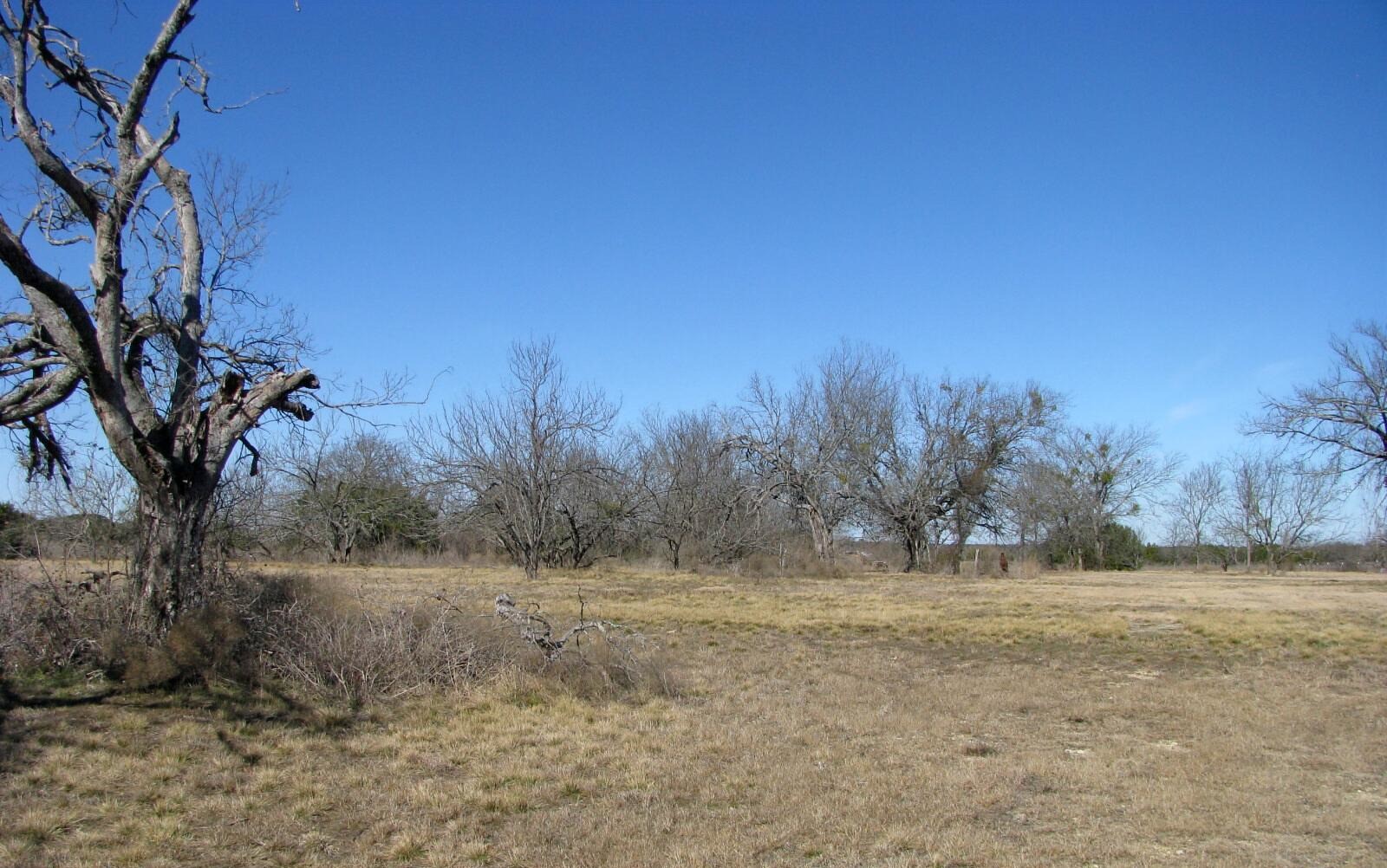 Tbd Lot 4 Old Pidcoke Road Gatesville TX 76528