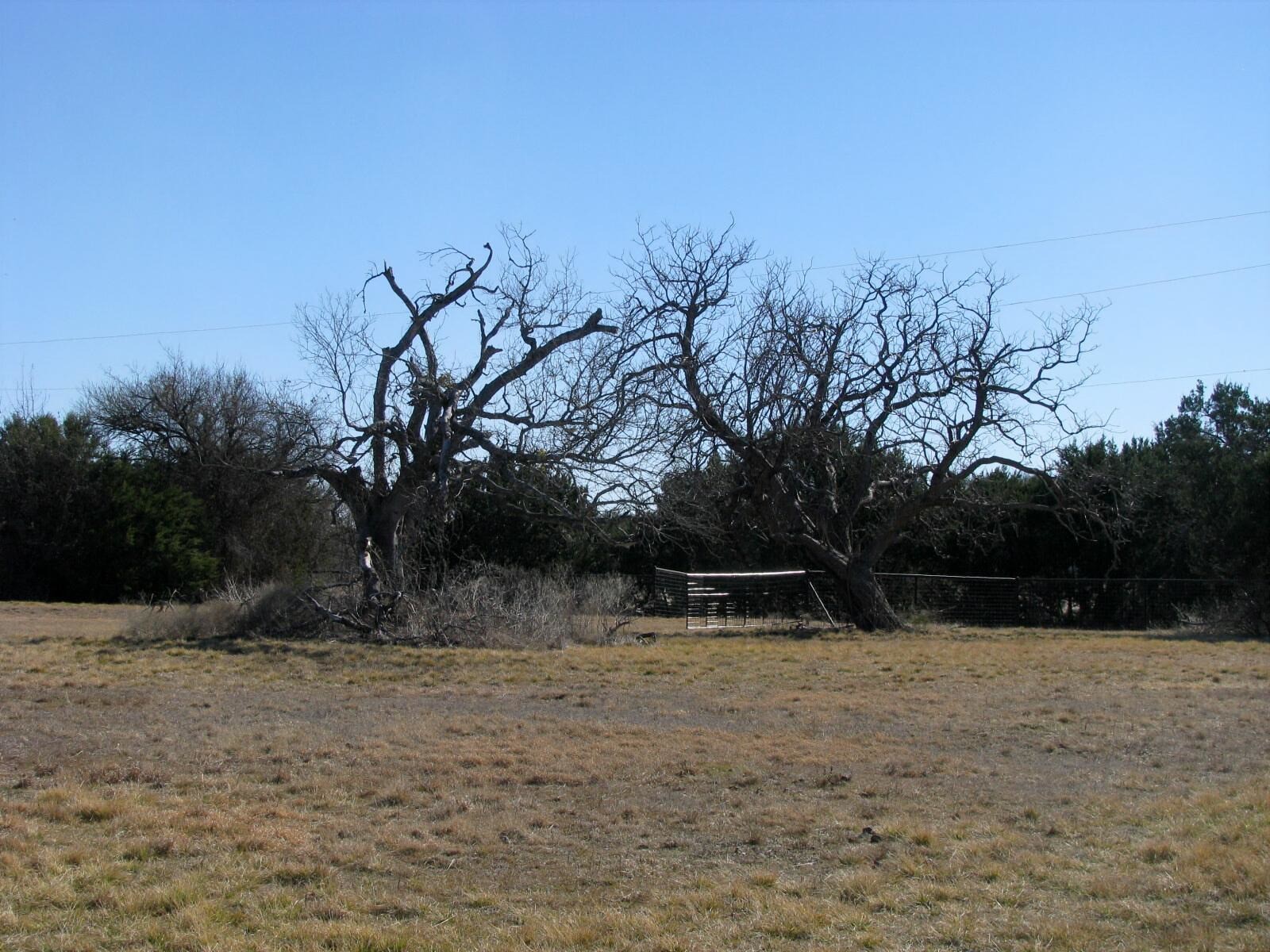 Tbd Lot 4 Old Pidcoke Road Gatesville TX 76528