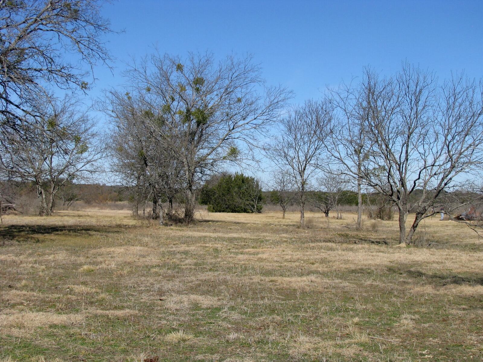 Tbd Lot 4 Old Pidcoke Road Gatesville TX 76528