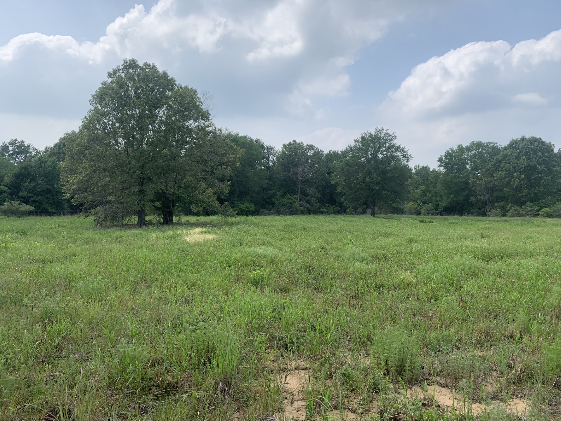Tbd Cr 381 Oakwood TX 75855