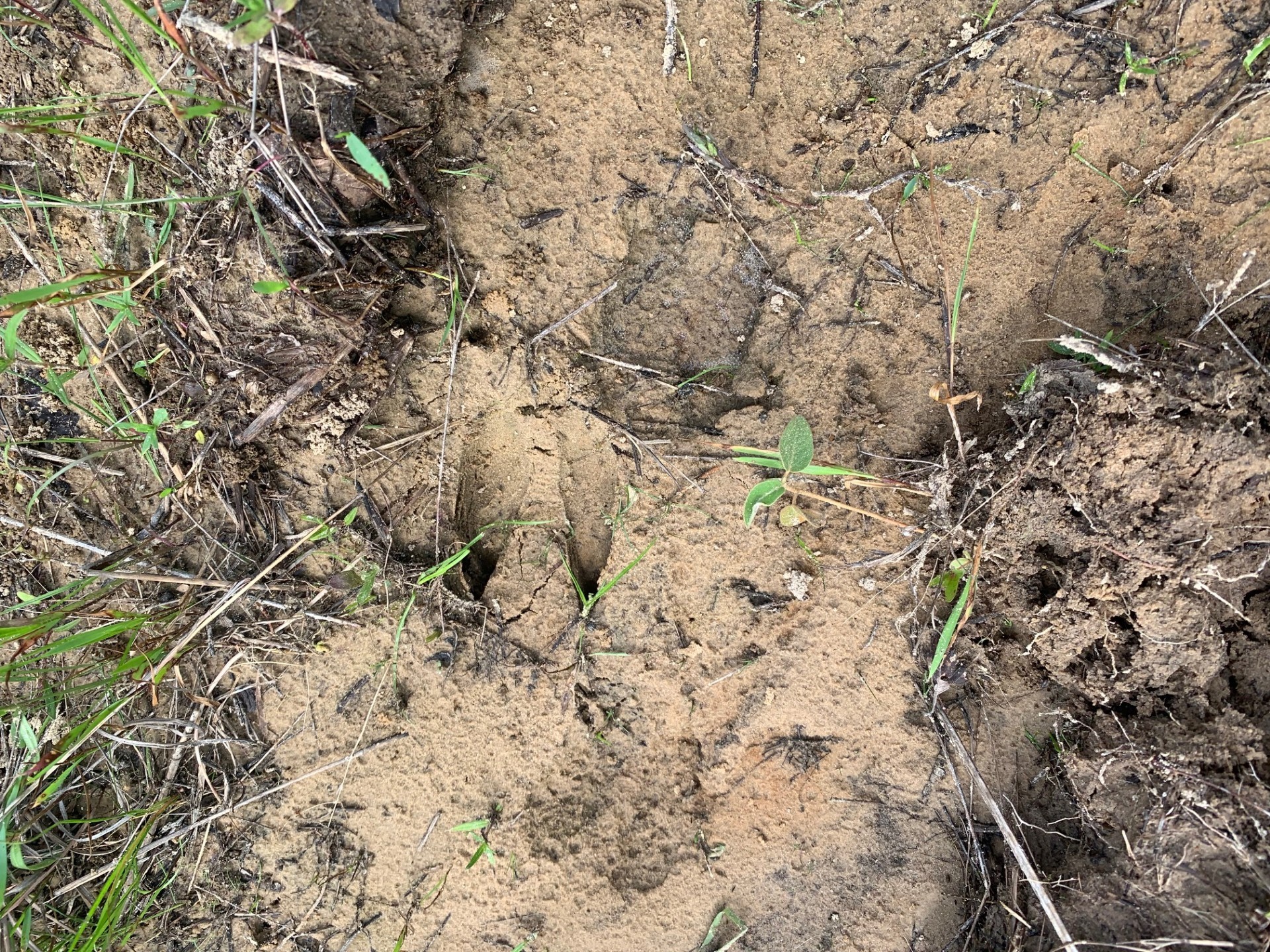 Tbd Cr 381 Oakwood TX 75855