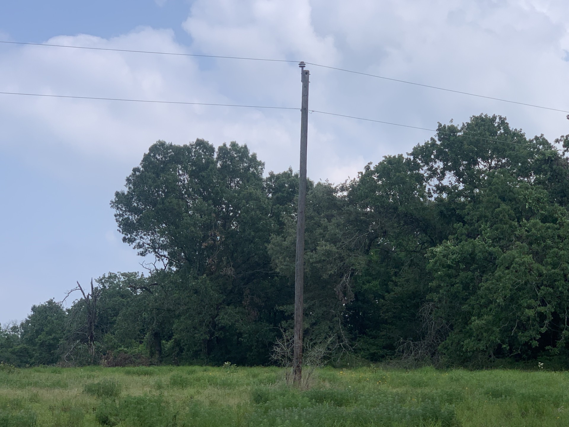Tbd Cr 381 Oakwood TX 75855