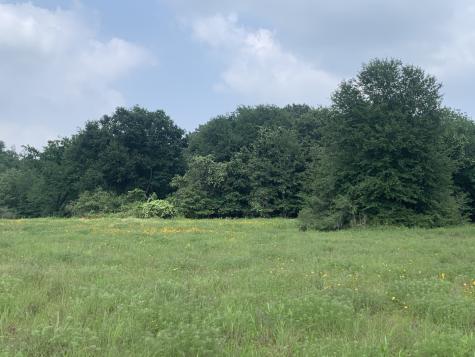 TBD Cr 381 Oakwood TX 75855