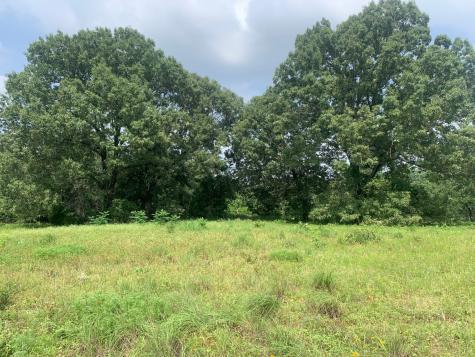 TBD Cr 381 Oakwood TX 75855
