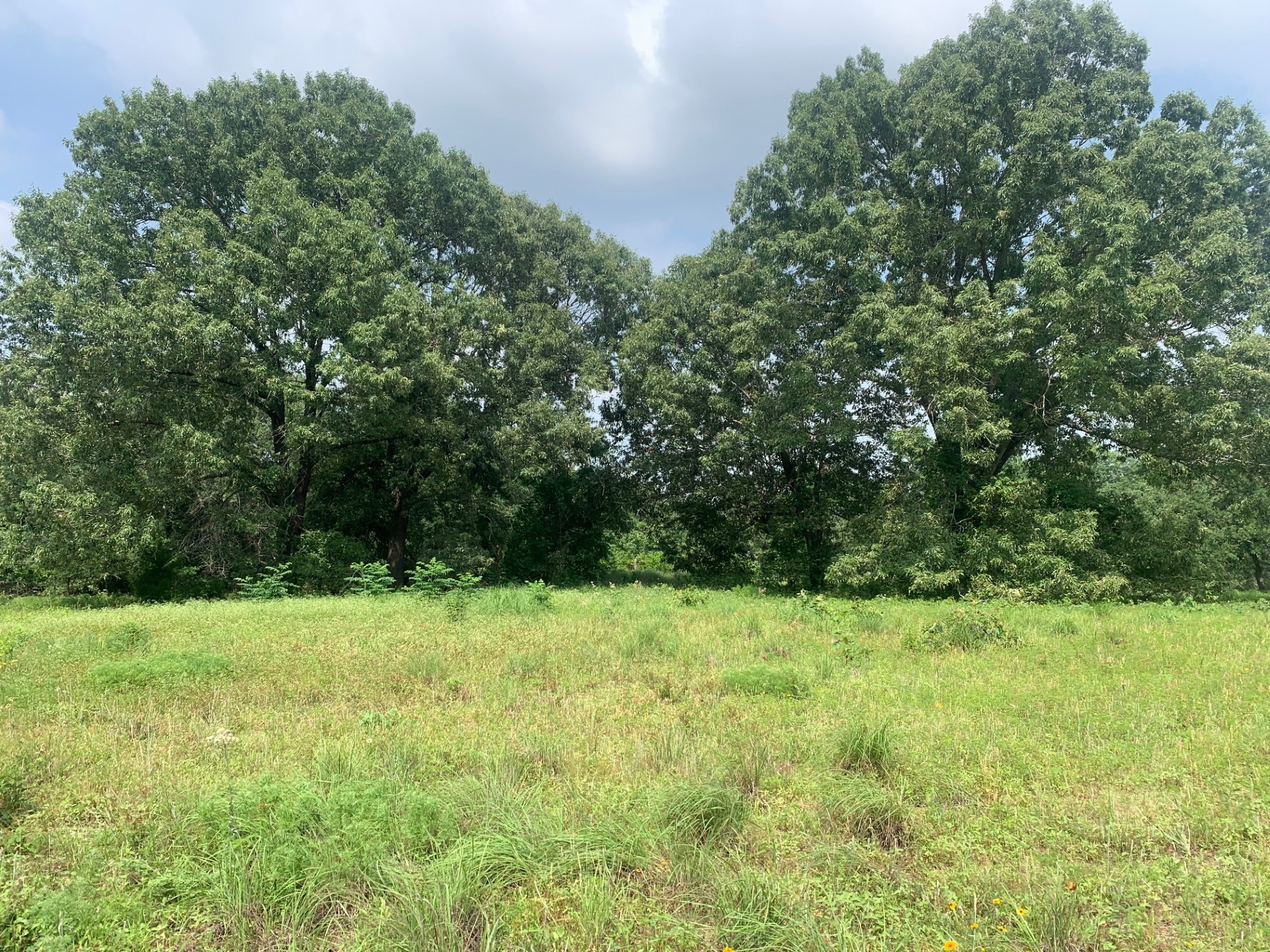Tbd Cr 381 Oakwood TX 75855