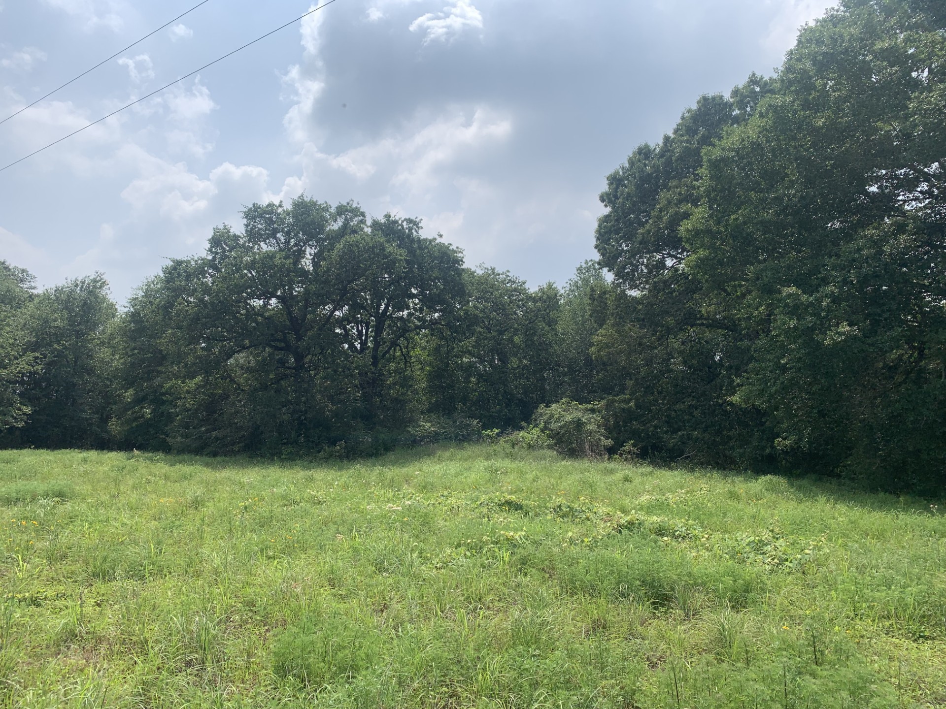 Tbd Cr 381 Oakwood TX 75855