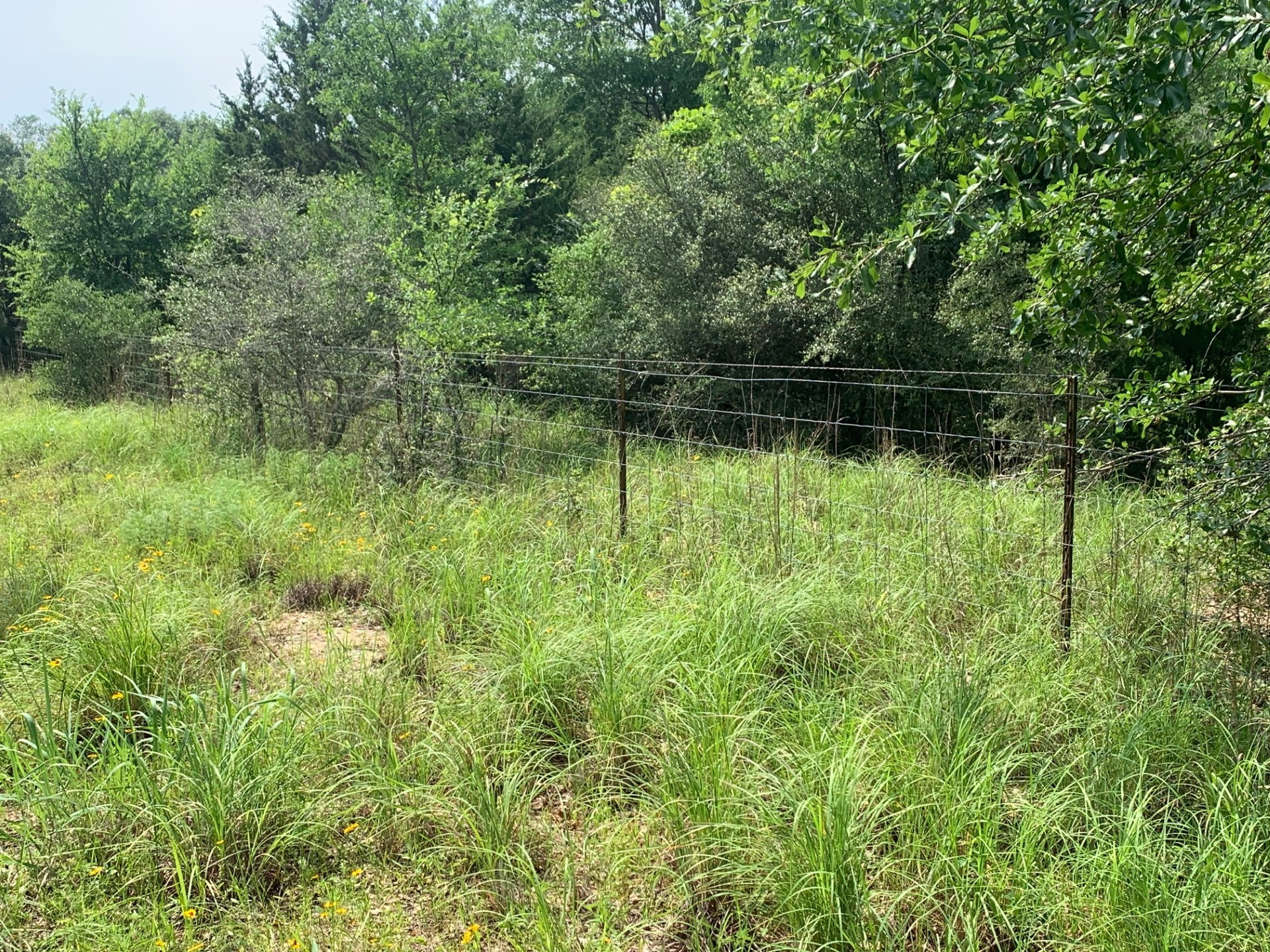 Tbd Cr 381 Oakwood TX 75855