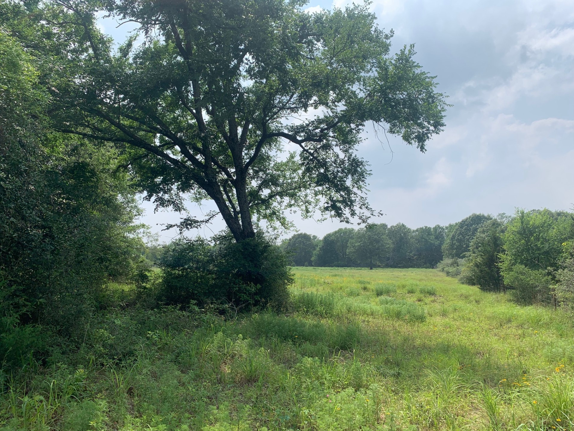 Tbd Cr 381 Oakwood TX 75855
