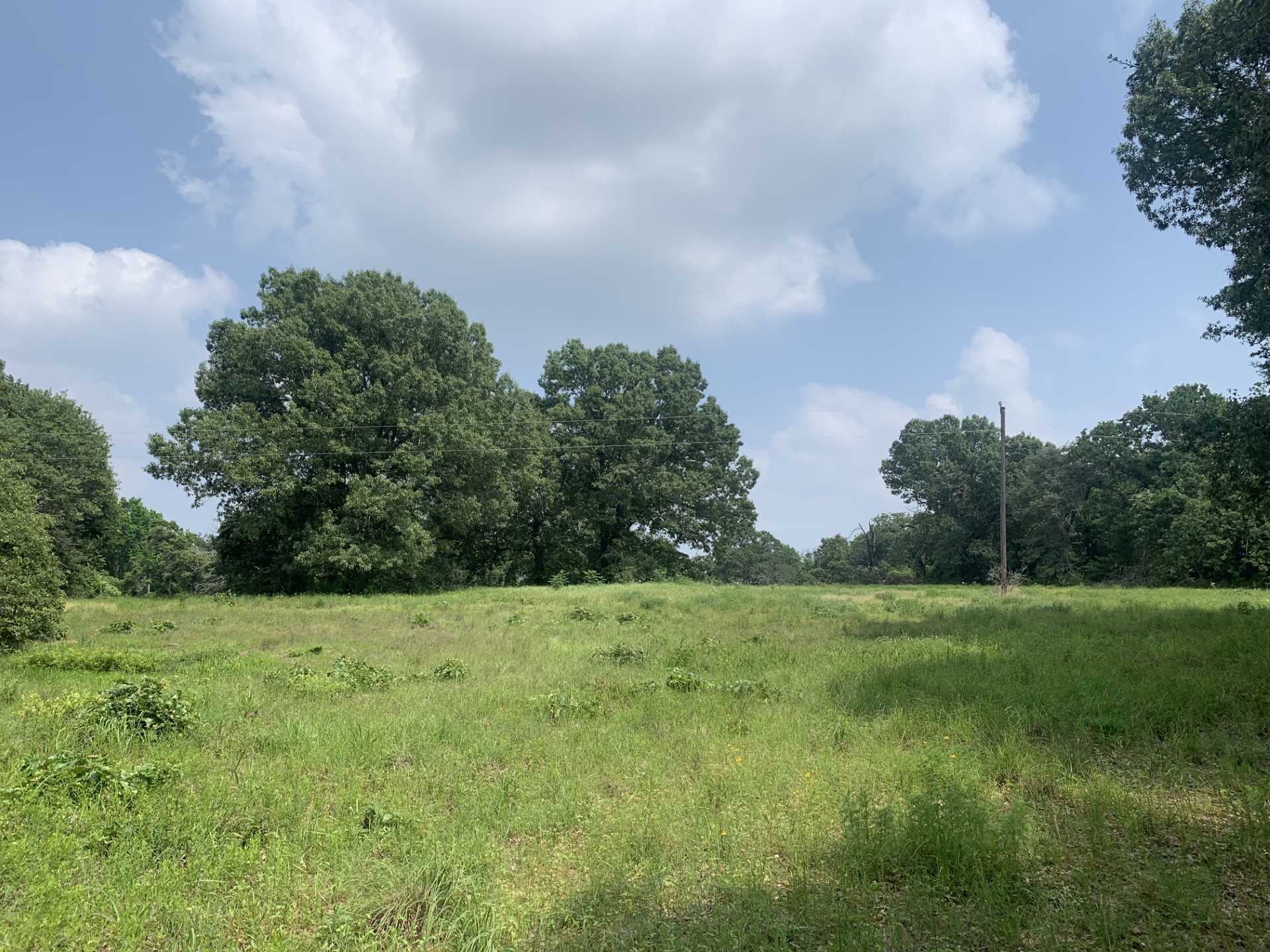 Tbd Cr 381 Oakwood TX 75855