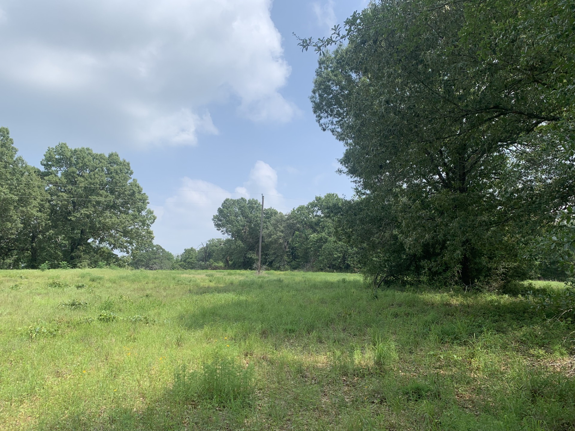 Tbd Cr 381 Oakwood TX 75855