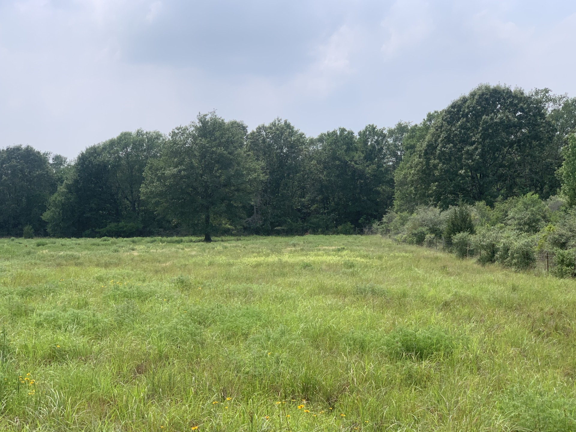 Tbd Cr 381 Oakwood TX 75855