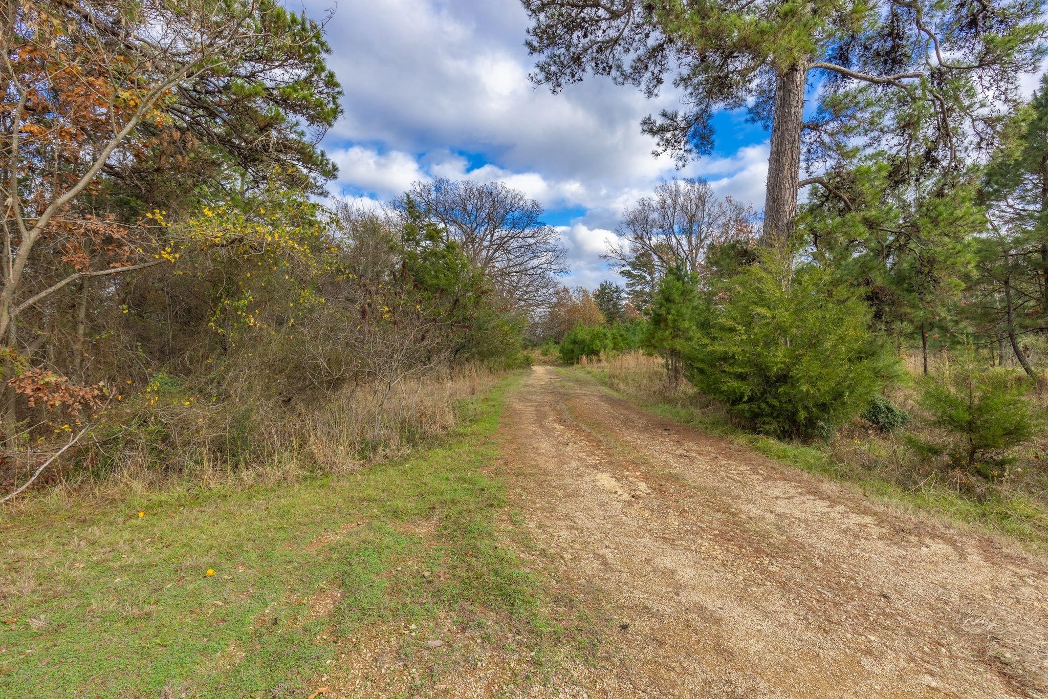 648 County Road 2337 Pittsburg TX 75686