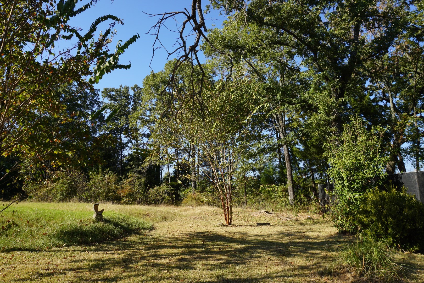 1688 Doc Holiday Drive Log Cabin TX 75148