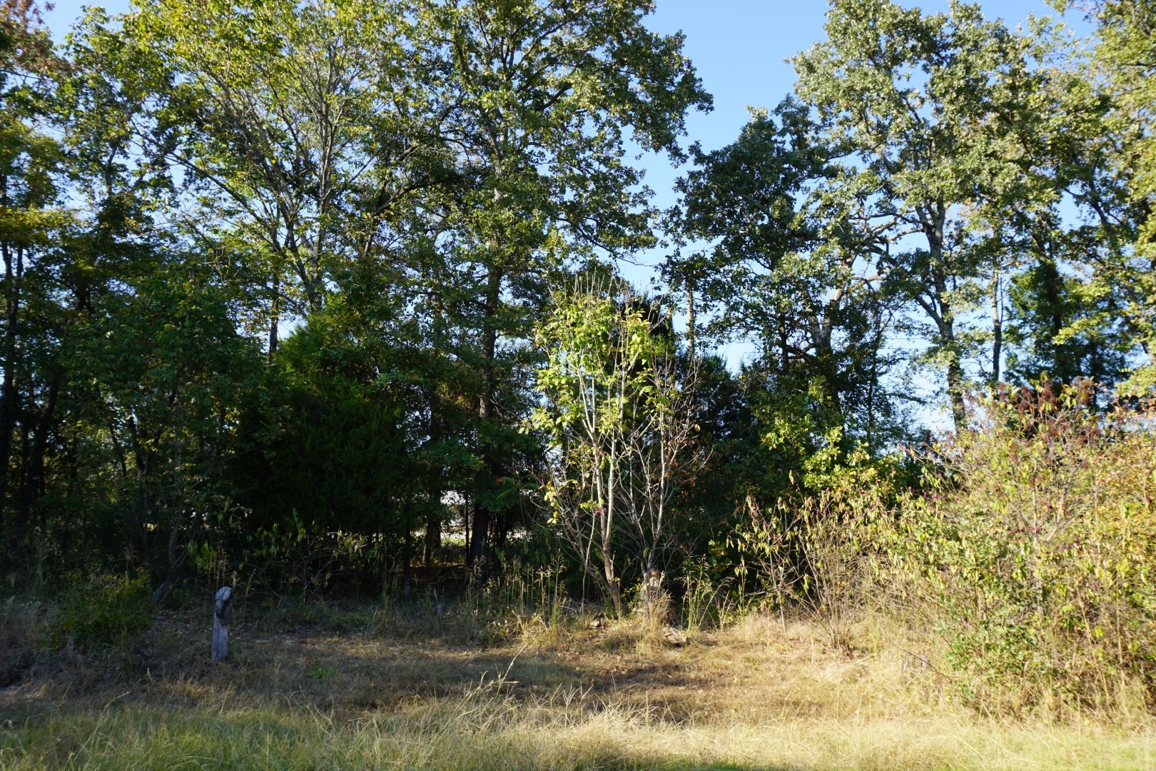 1688 Doc Holiday Drive Log Cabin TX 75148