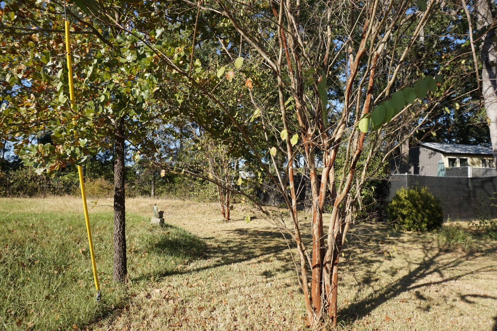 1688 Doc Holiday Drive Log Cabin TX 75148