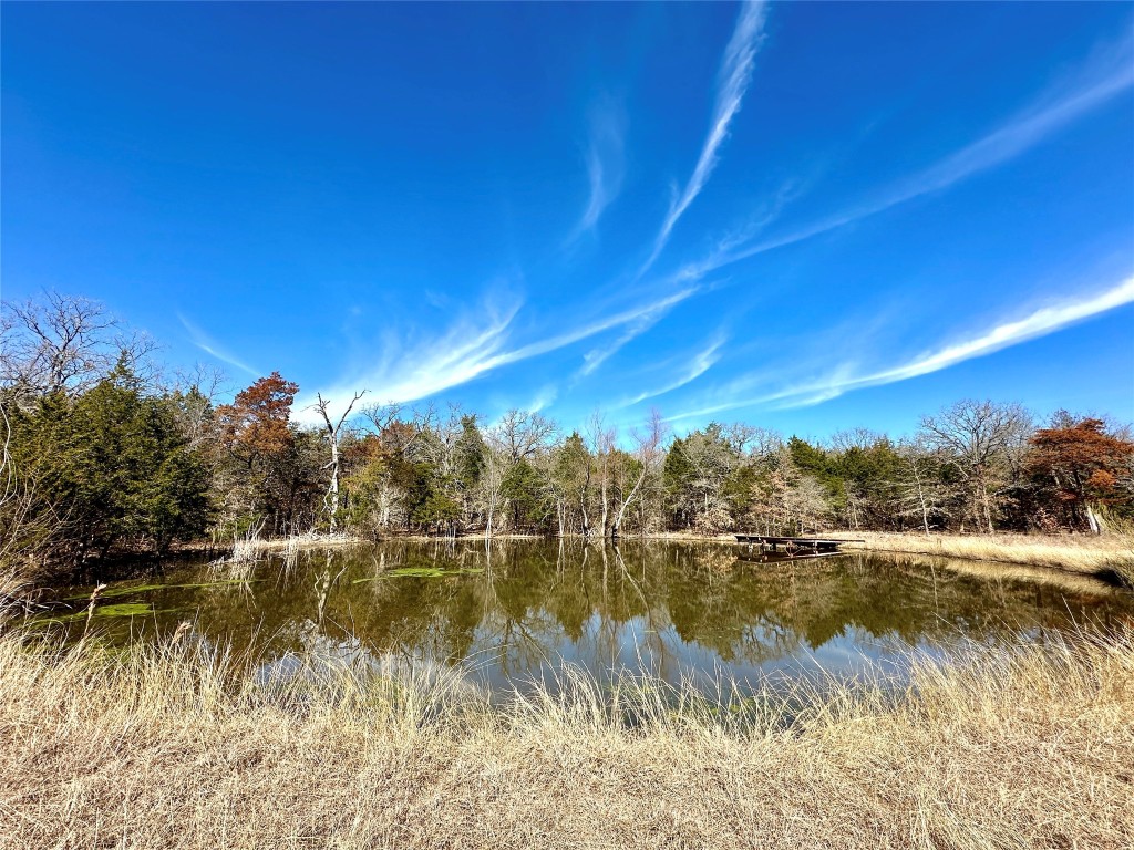 000 SW 3070 Road Purdon TX 76679