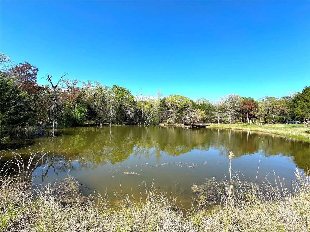 000 SW 3070 Road Purdon TX 76679