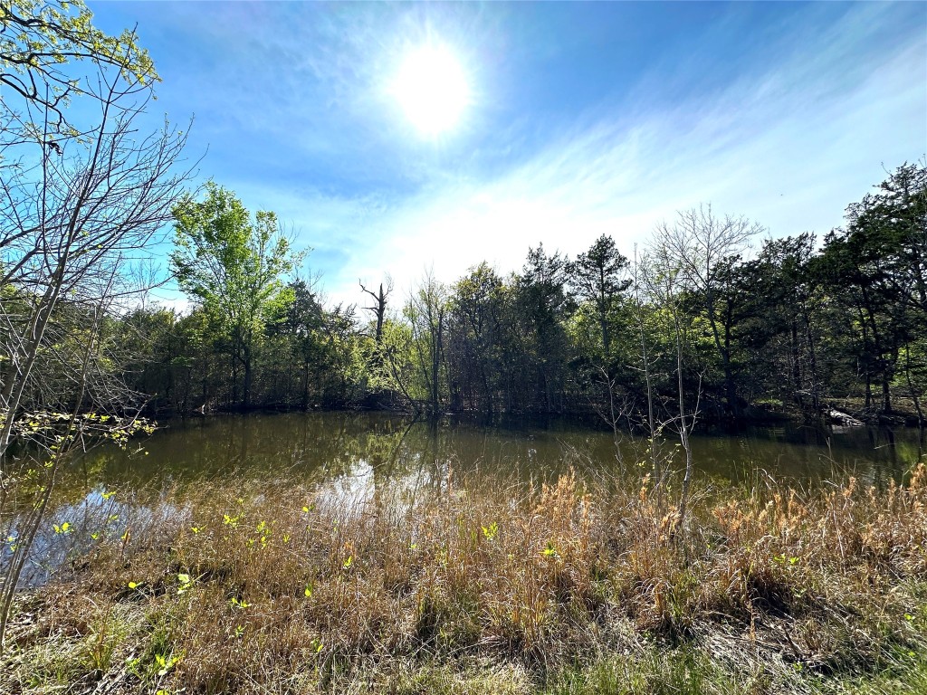 000 SW 3070 Road Purdon TX 76679