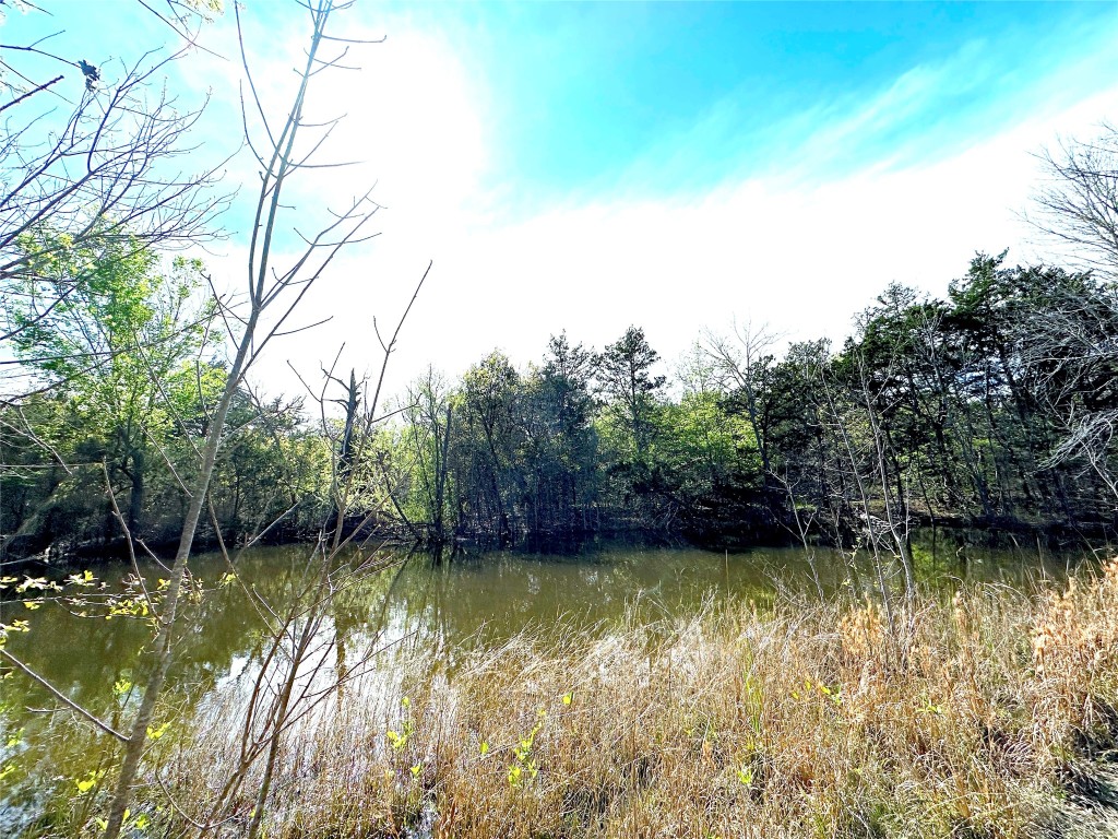 000 SW 3070 Road Purdon TX 76679