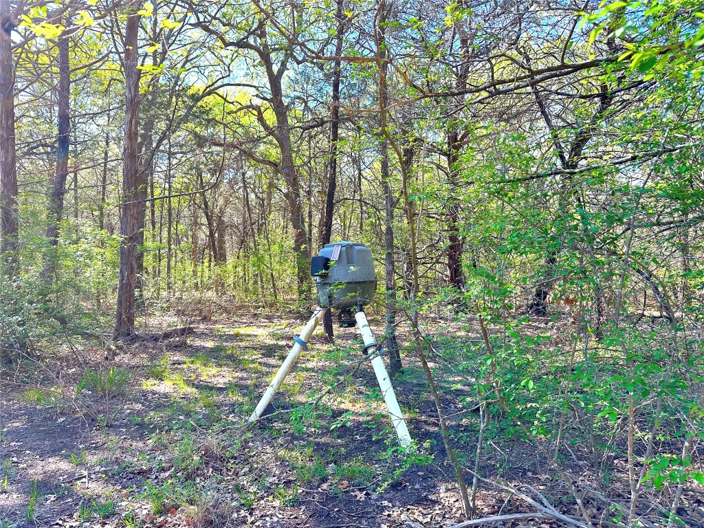 000 SW 3070 Road Purdon TX 76679