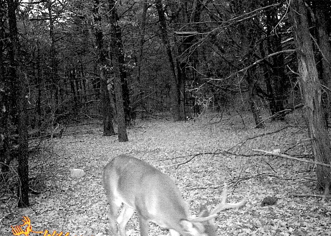 000 SW 3070 Road Purdon TX 76679
