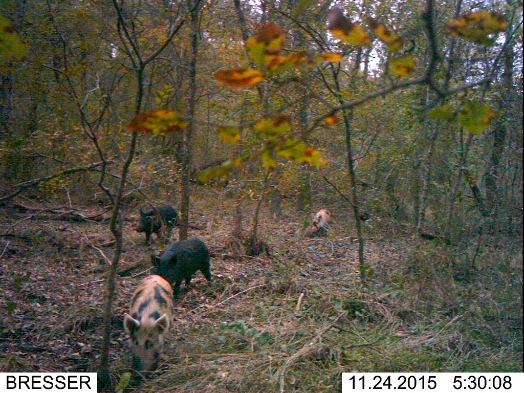 000 SW 3070 Road Purdon TX 76679