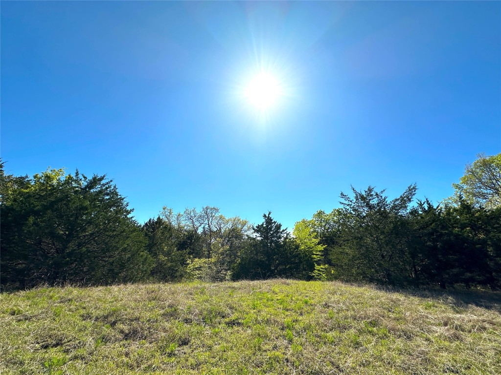 000 SW 3070 Road Purdon TX 76679